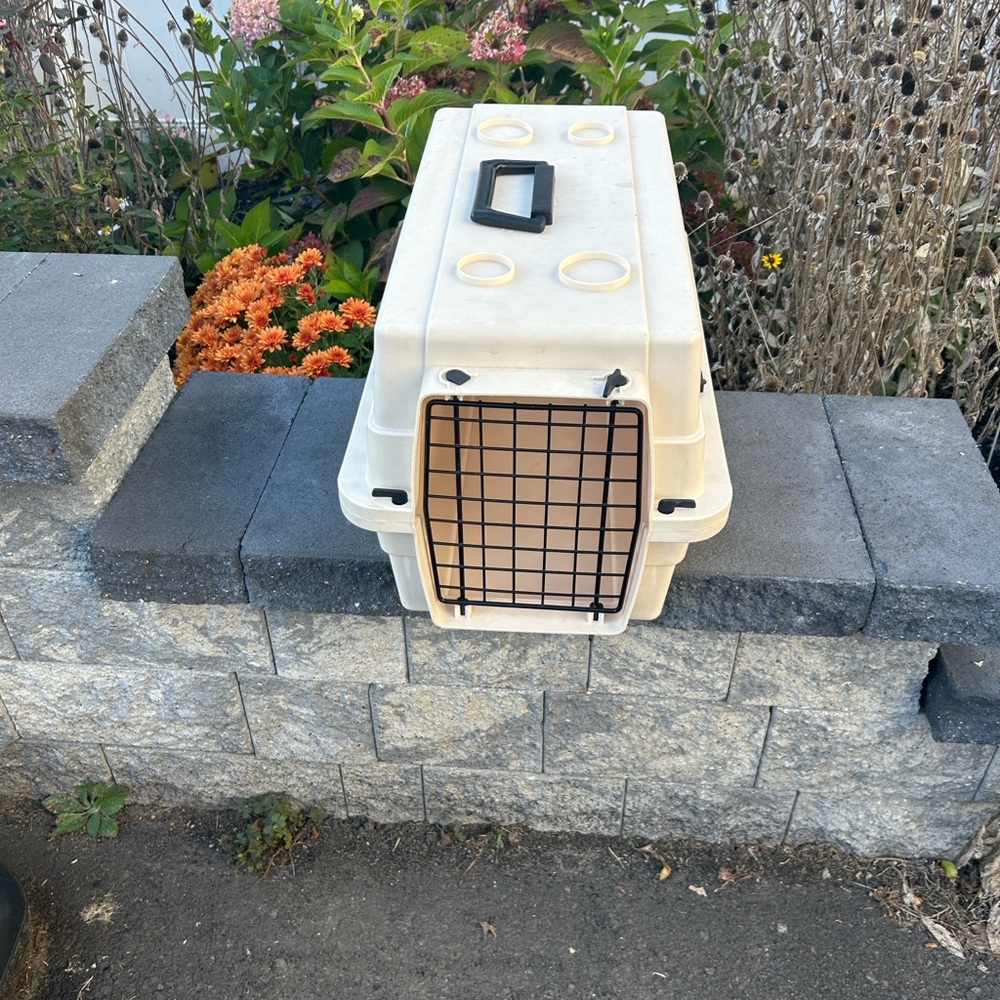 Cream Hard Sided Pet Carrier
